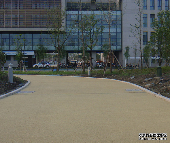 透水混凝土案例图一
